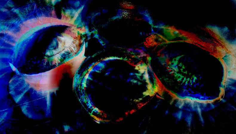 Untitled Untitled
